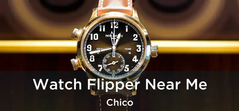 Watch Flipper Near Me Chico